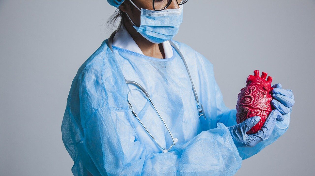 saaudee.com - imagem.pixabay