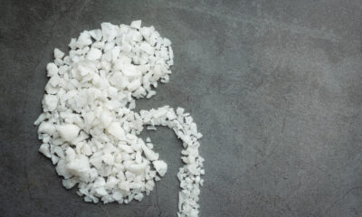 saaudee.com - imagem.pixabay