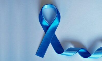 saaudee.com - imagem.pixabay