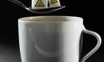 saaudee.com - imagem.pixabay