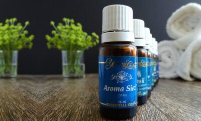 saaudee.com - imagem.pixabay