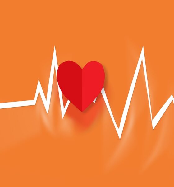 saaudee.com - imagem.pixabay