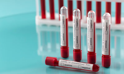 saaudee.com - imagem.pixabay