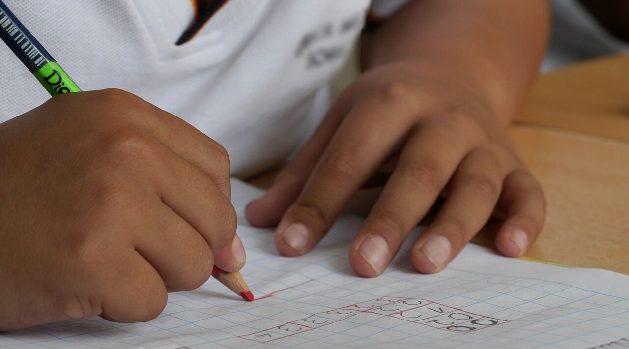 saaudee.com - imagem.pixabay