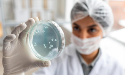 saaudee.com - imagem.pixabay