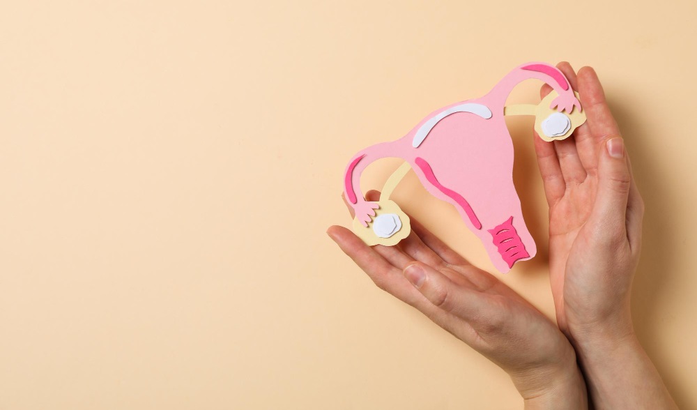 saaudee.com - imagem.flaticon