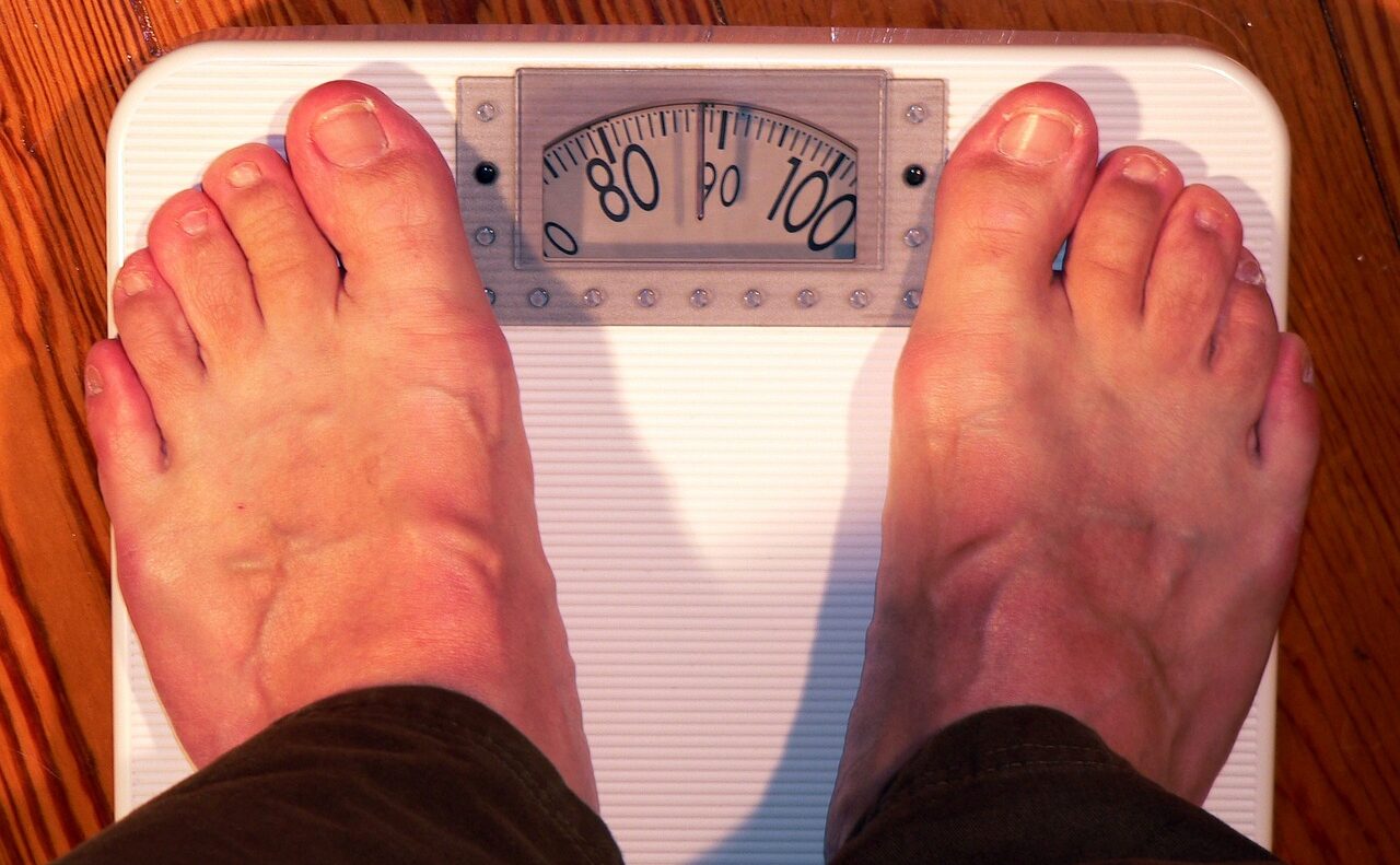 saaudee.com - imagem.pixabay