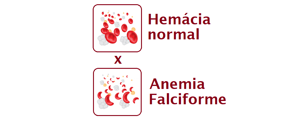 saaudee.com - imagem.google