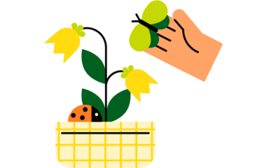 saaudee.com - imagem.flaticon