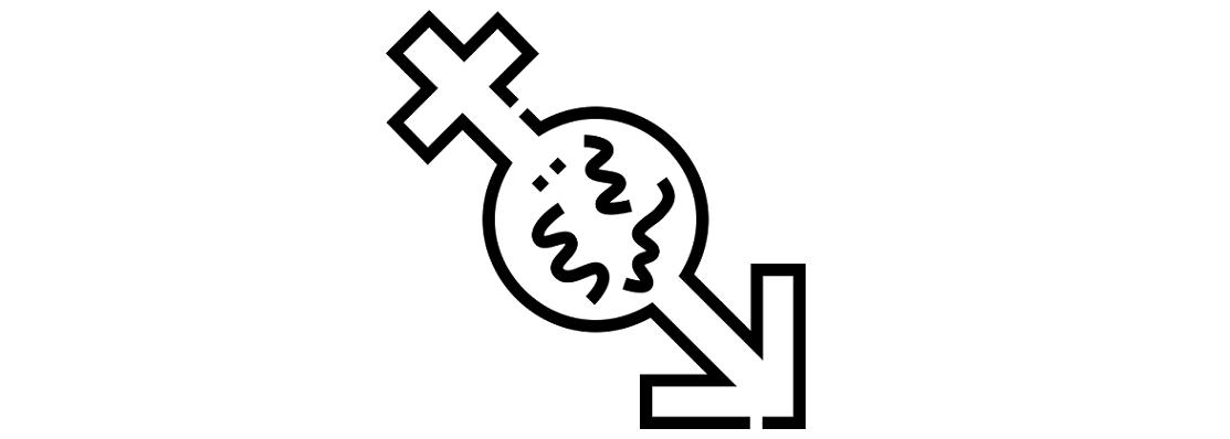 saaudee.com - imagem.flaticon