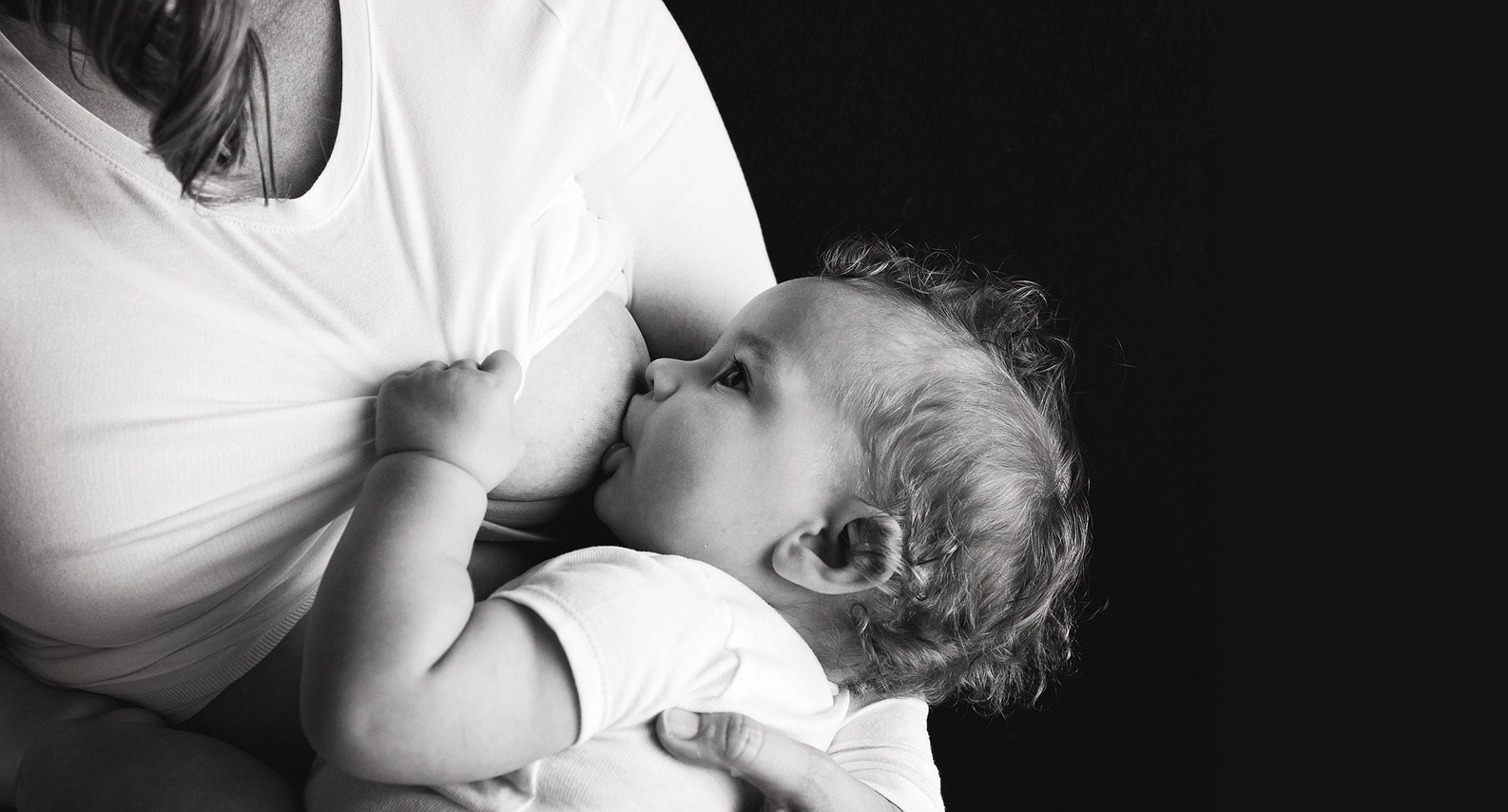 saaudee.com - imagem.pixabay