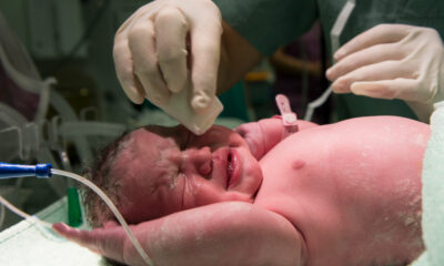 saaudee.com - imagem.freepik