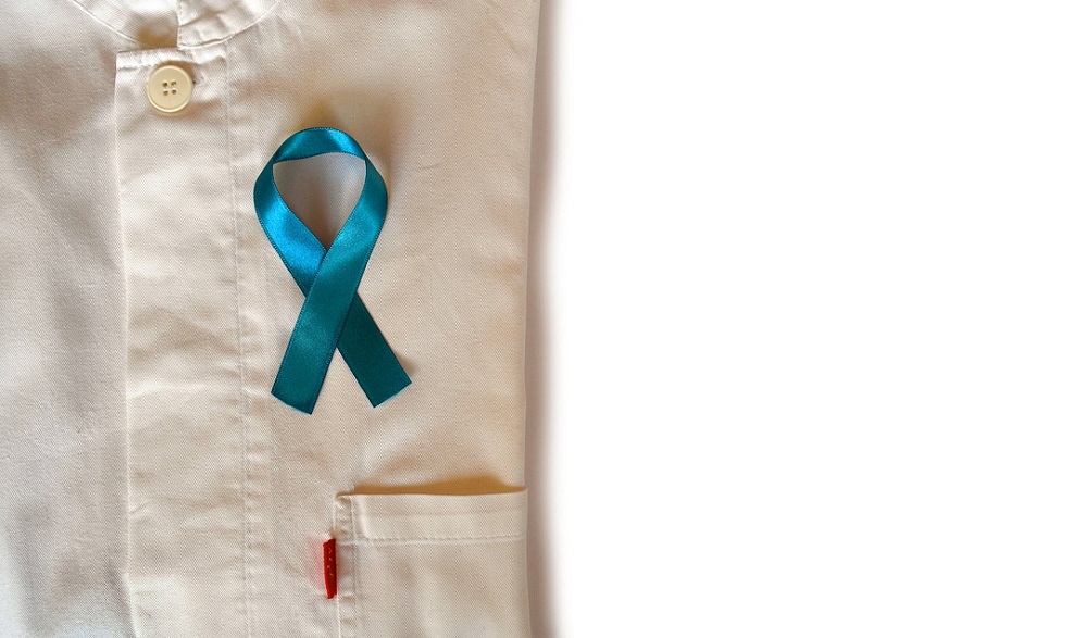 saaudee.com - imagem.pixabay