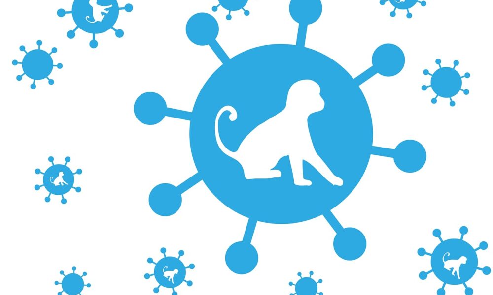 saaudee.com - imagem.pixabay