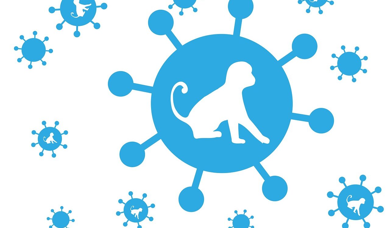 saaudee.com - imagem.pixabay