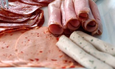 saaudee.com - imagem.pixabay