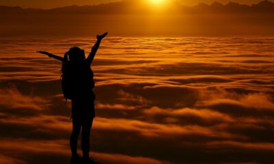 saaudee.com - imagem.pixabay