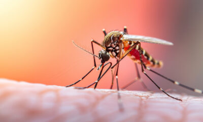 saaudee.com - imagem.freepik