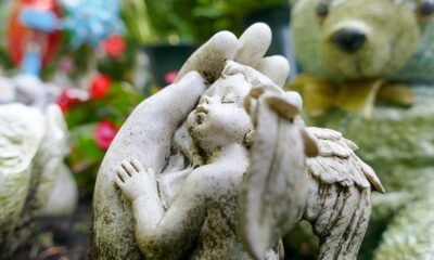 saaudee.com - imagem.pixabay