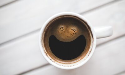 saaudee.com - imagem.pixabay