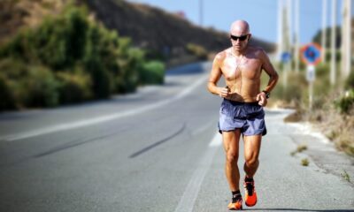 saaudee.com - imagem.pixabay