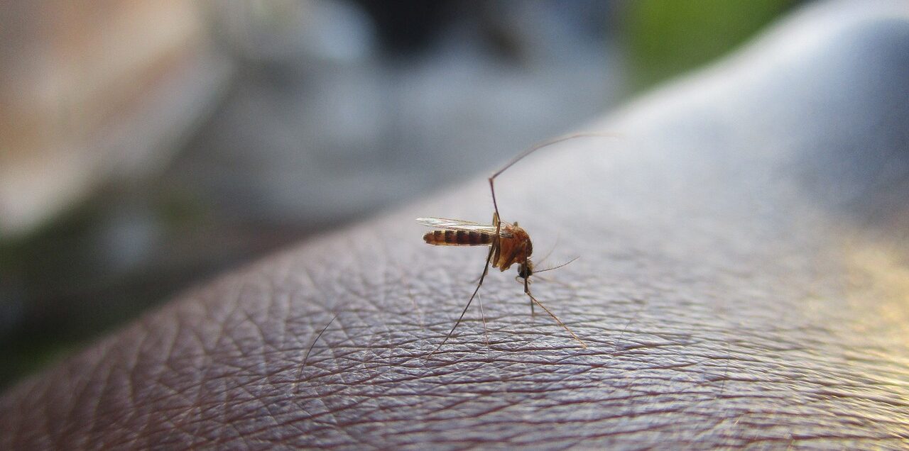 saaudee.com - imagem.freepik