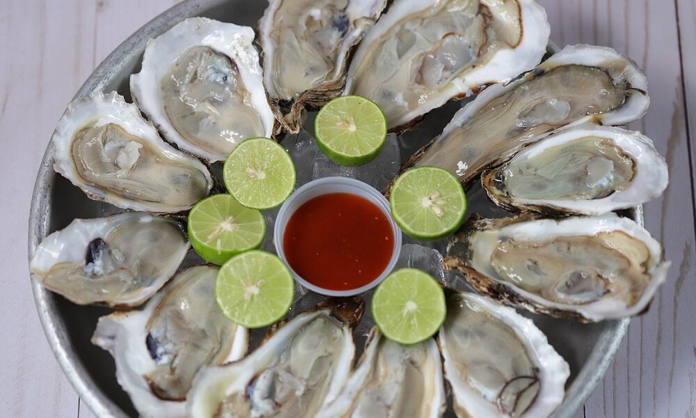 saaudee.com - imagem.pixabay