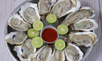 saaudee.com - imagem.pixabay