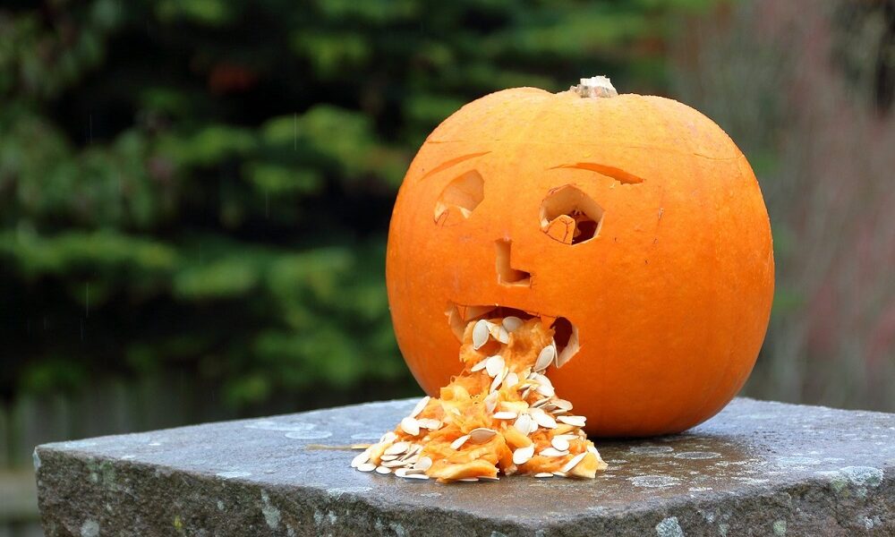 saaudee.com - imagem.pixabay