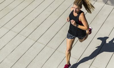 saaudee.com - imagem.pixabay