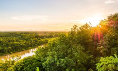 saaudee.com - imagem.freepik