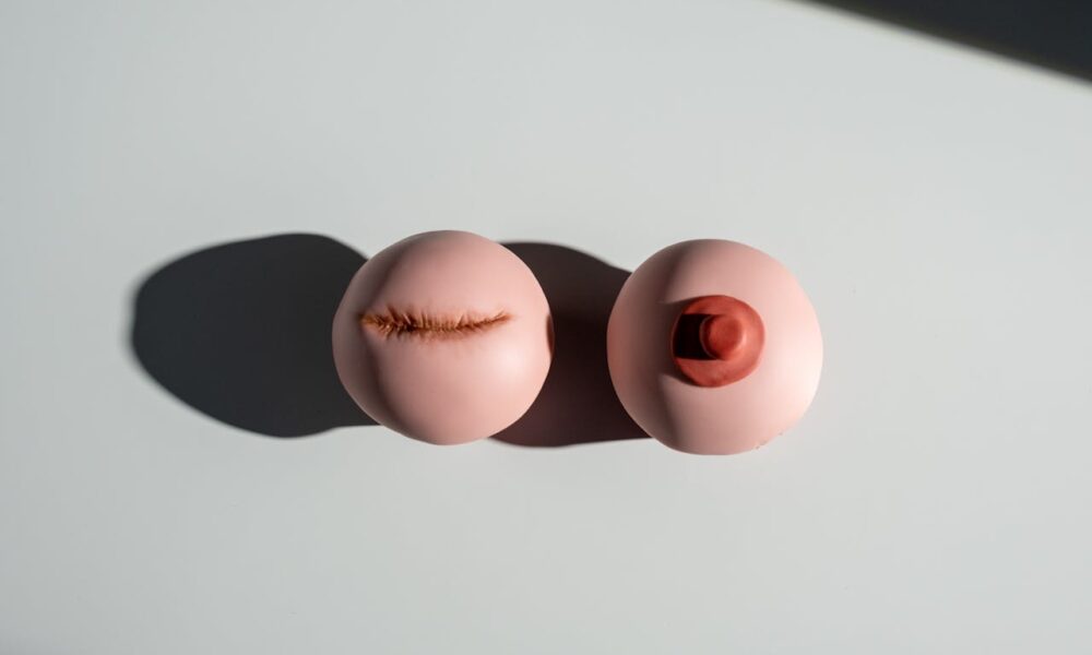 saaudee.com - imagem.pexels