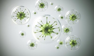 saaudee.com - imagem.freepik