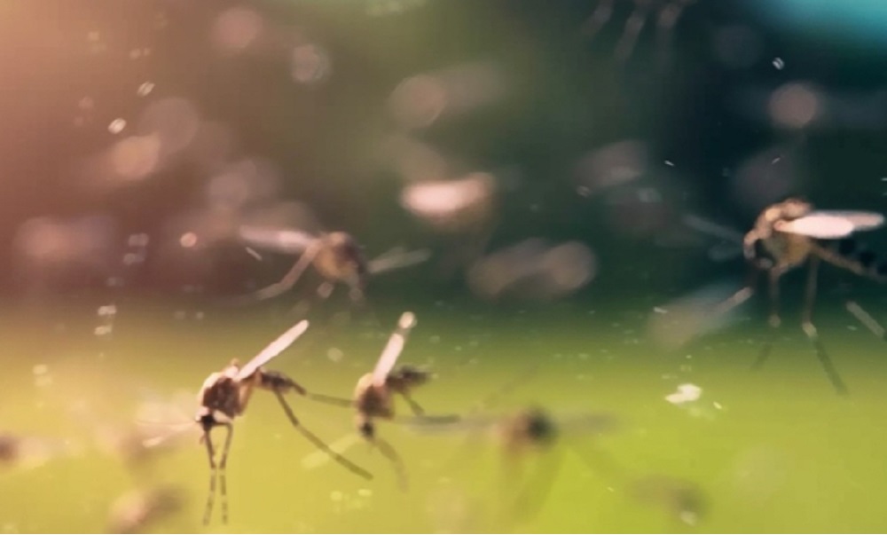 saaudee.com - imagem.freepik