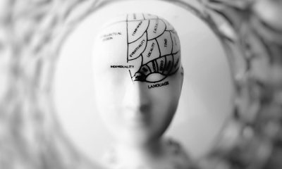 saaudee.com - imagem.pexels
