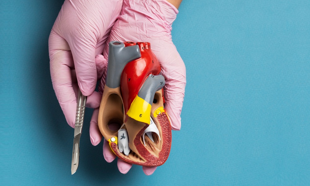 saaudee.com - imagem.freepik