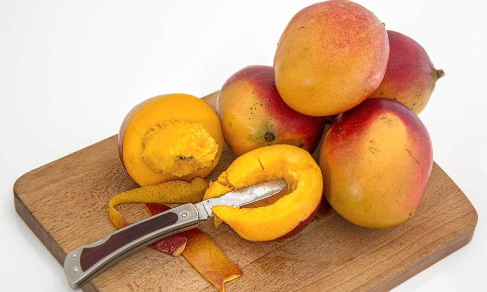 saaudee.com - imagem.pexels