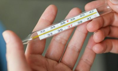 saaudee.com - imagem.pexels