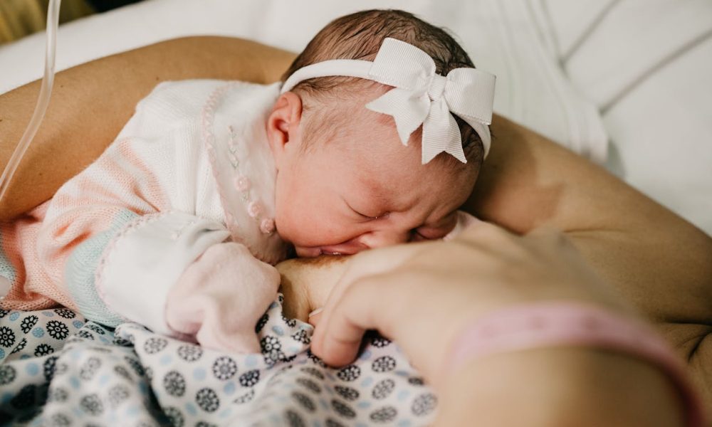 saaudee.com - imagem.pexels