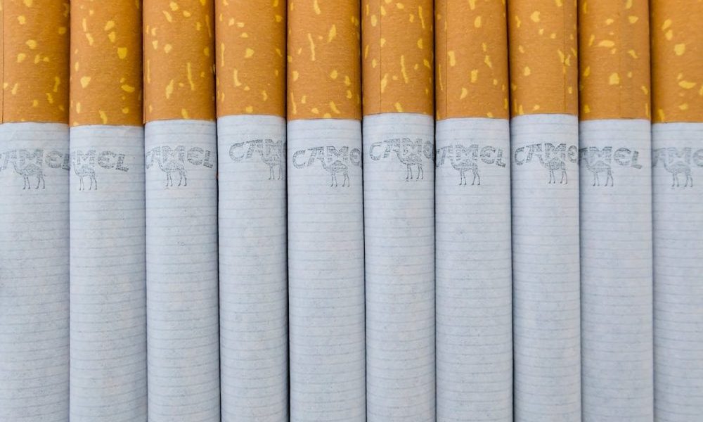 saaudee.com - imagem.pexels