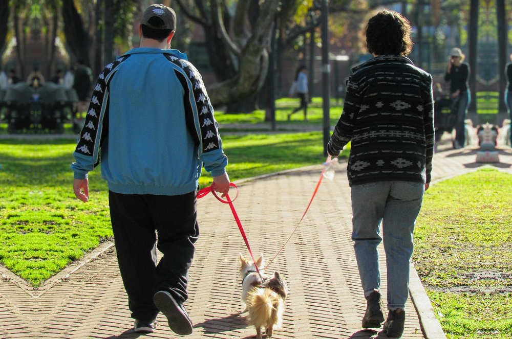 saaudee.com - imagem.pexels