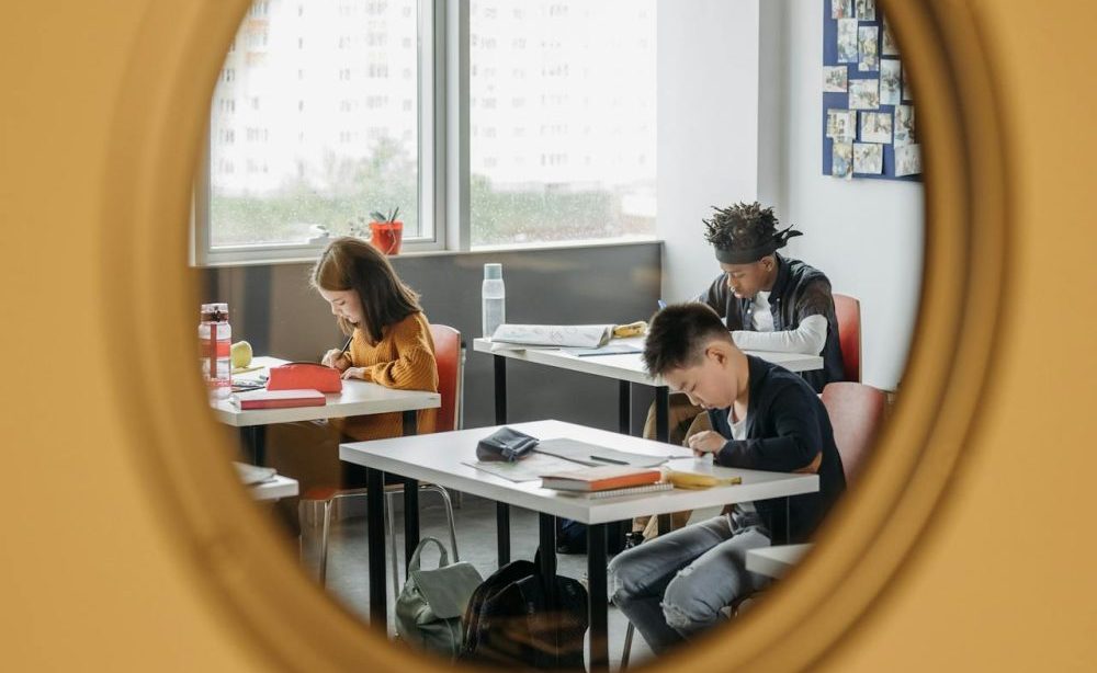 saaudee.com - imagem.pexels