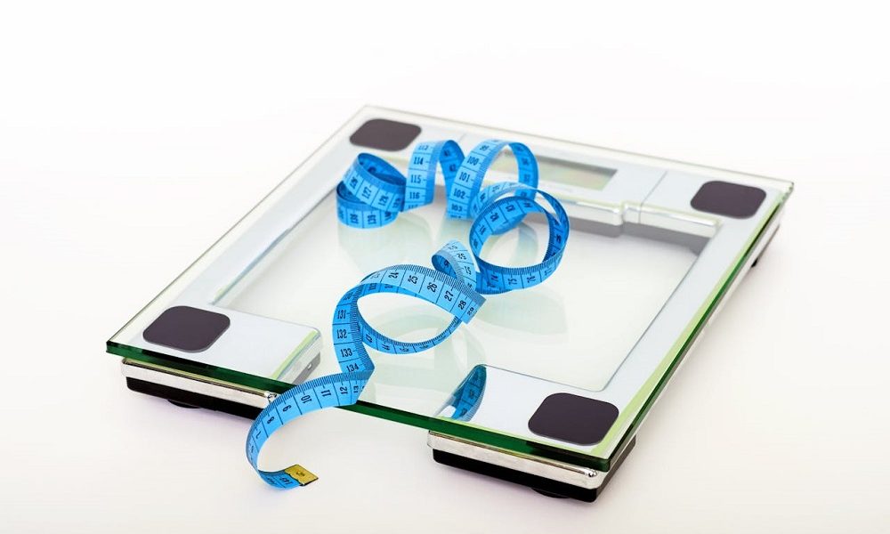 saaudee.com - imagem.pexels