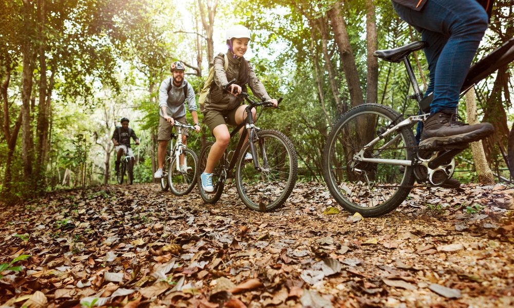 saaudee.com - imagem.freepik