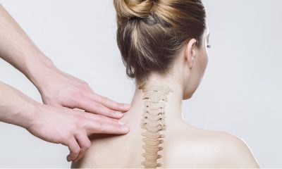 saaudee.com - imagem.pixabay