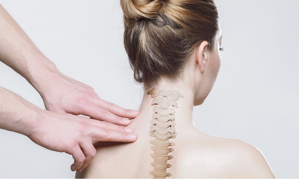 saaudee.com - imagem.pixabay