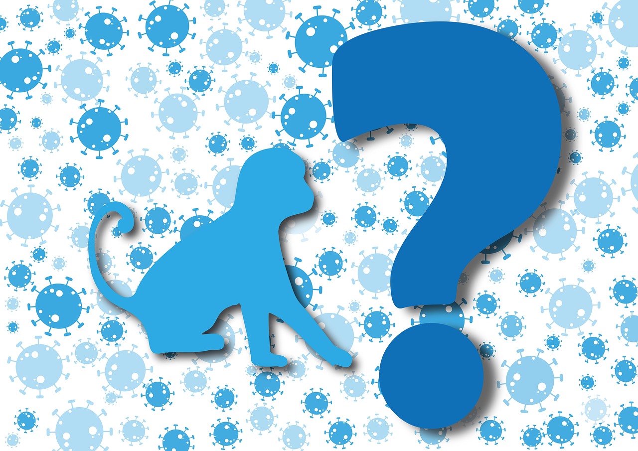 saaudee.com - imagem.pixabay