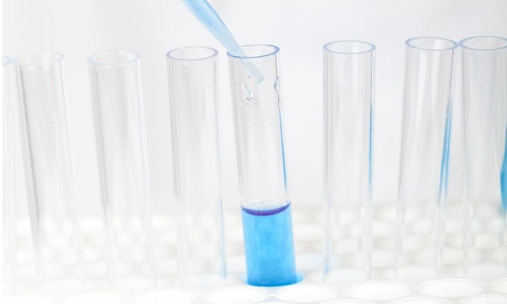 saaudee.com - imagem.pixabay