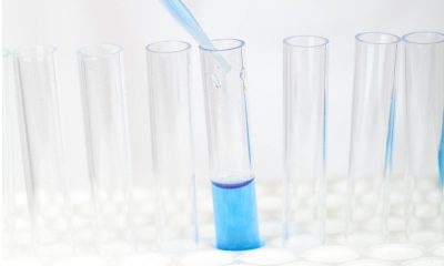 saaudee.com - imagem.pixabay