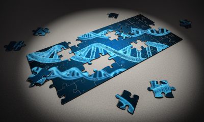 saaudee.com - imagem.pixabay